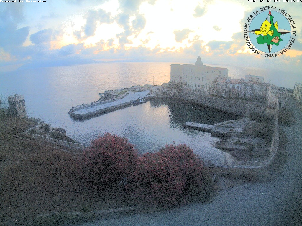 Camera Live Image