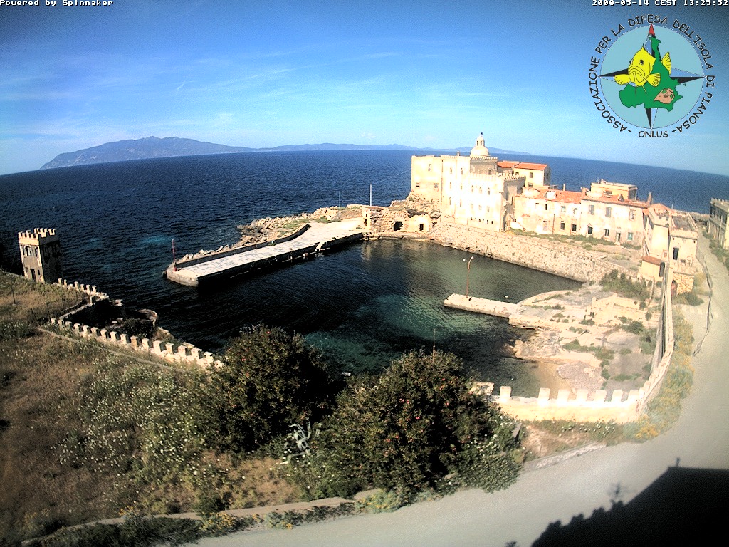 Camera Live Image