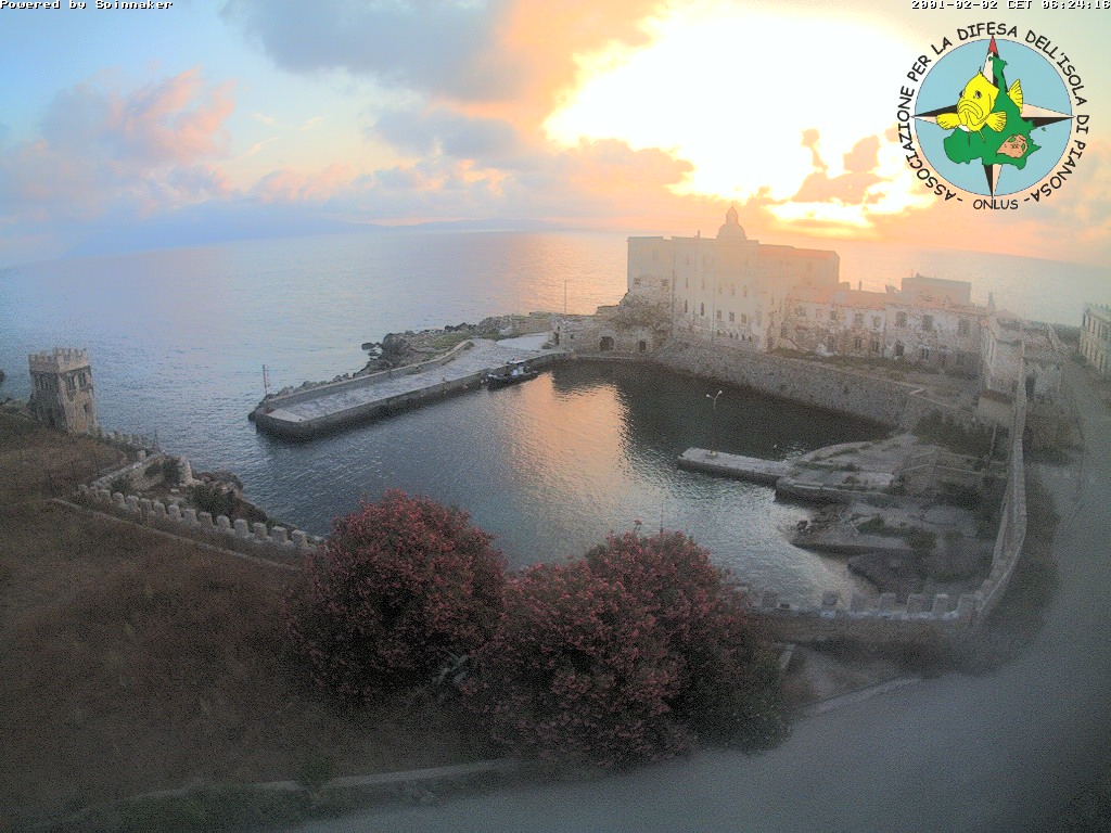 Camera Live Image