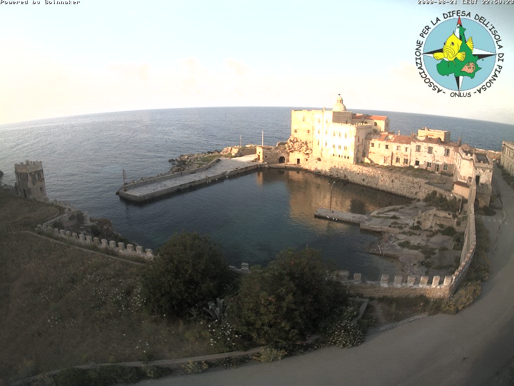 Camera Live Image