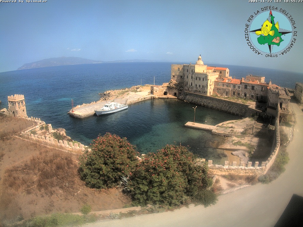 Camera Live Image