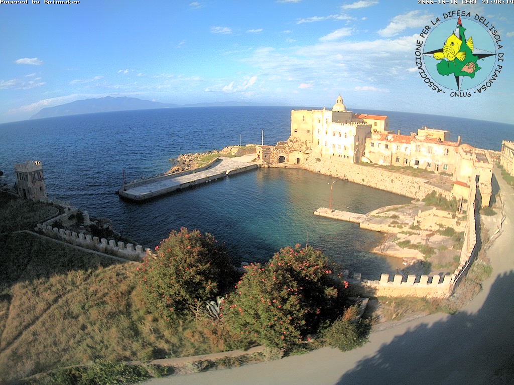 Camera Live Image