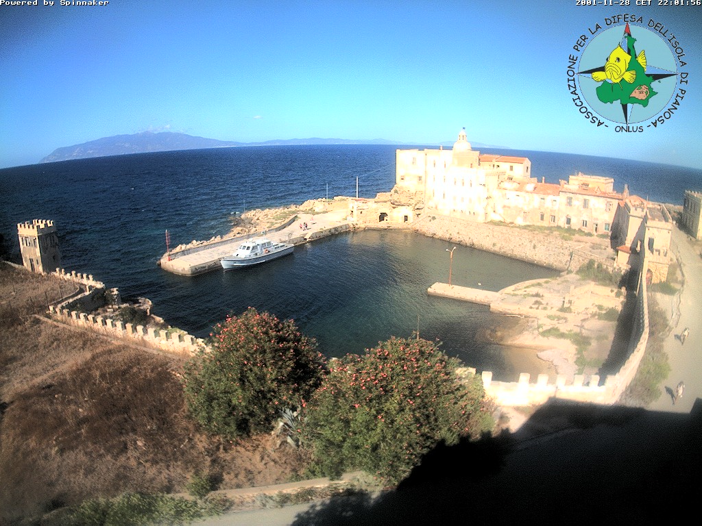 Camera Live Image