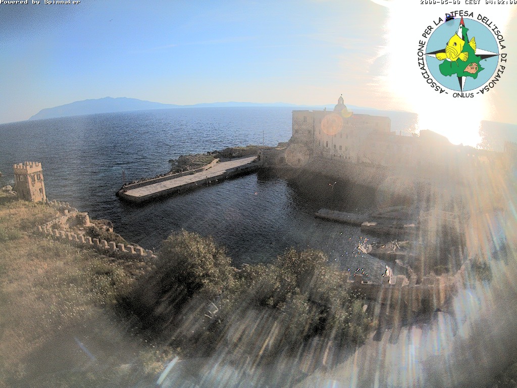Camera Live Image